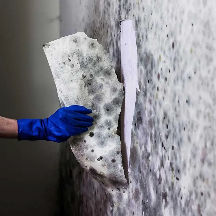 Anytime Services Picture 2