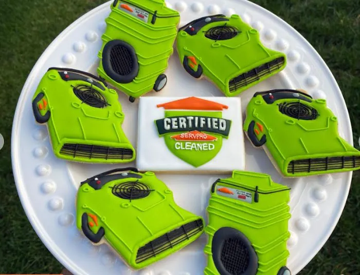 SERVPRO of Marine City/Romeo Picture 2