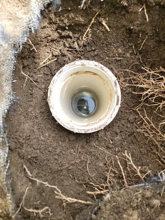 Maximum Flush Sewer and Drain Picture 9