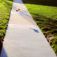 U.S. Waterproofing ico