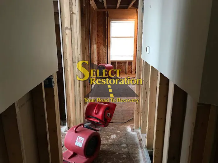 Macomb County Basement Flood Cleanup Pro's Picture 3