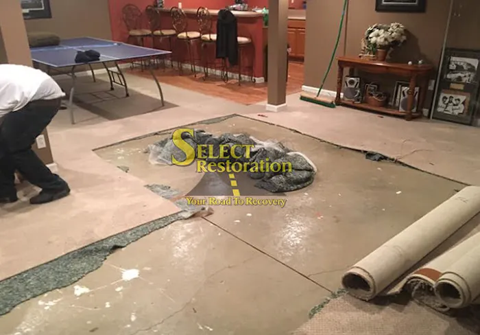 Macomb County Basement Flood Cleanup Pro's Picture 7