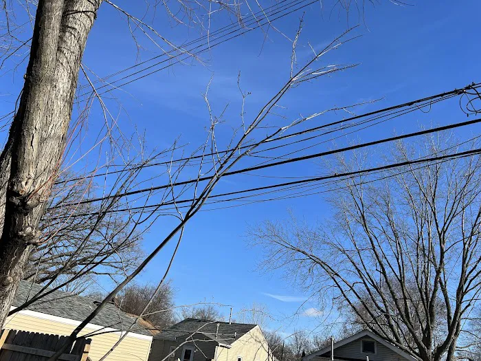 TNA Renovations with Transportation LLC Picture 8