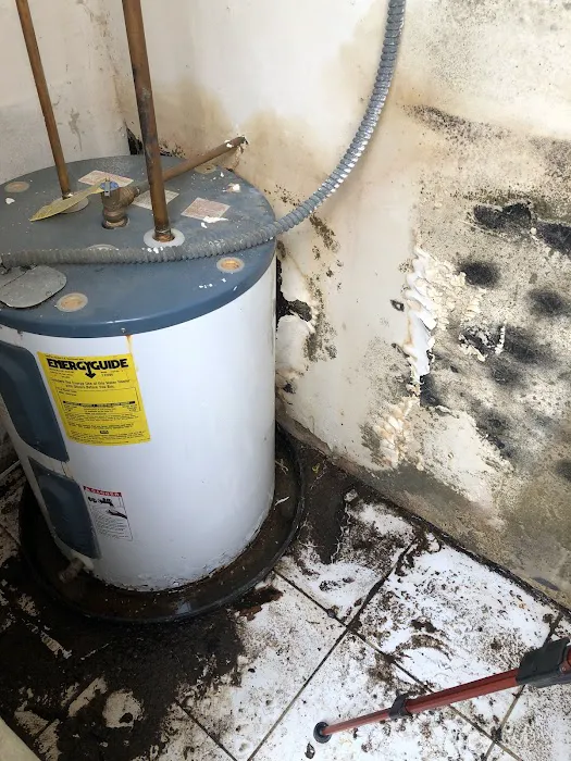 Extreme PRO Solutions Picture 4