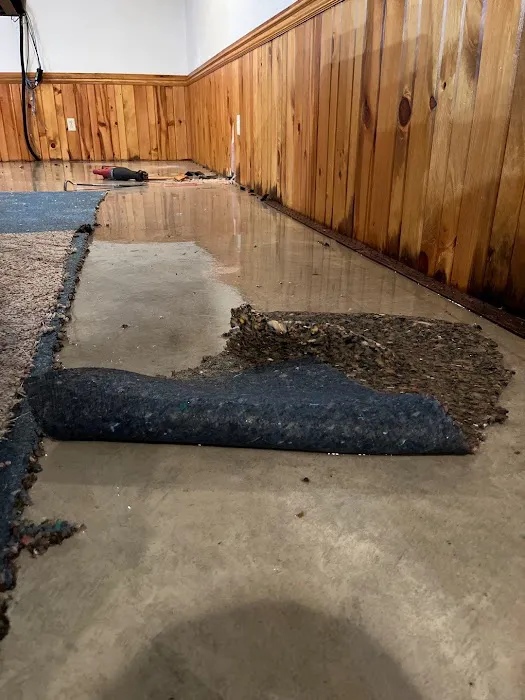 Renew Restoration Picture 5