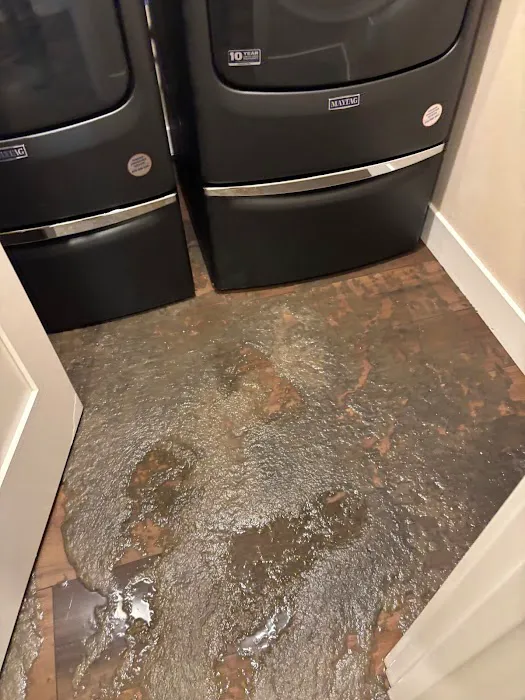 Renew Restoration Picture 6