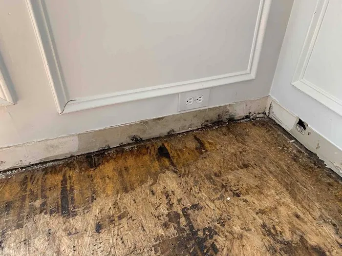 Flood Pros USA Picture 8