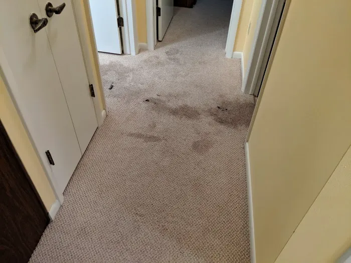 Elite Restoration of Green Bay, WI Picture 8