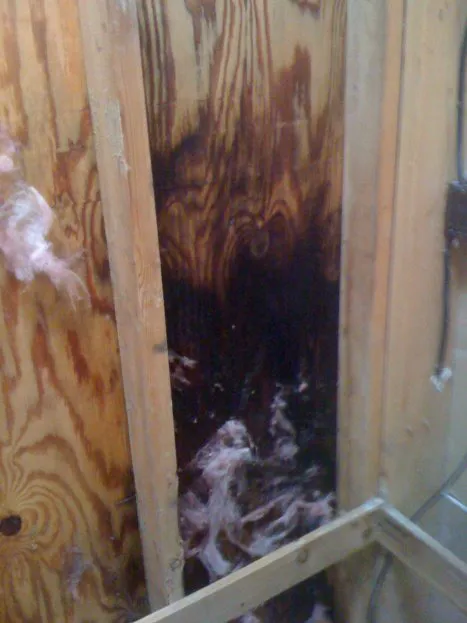 CCS Property Services, LLC Picture 7