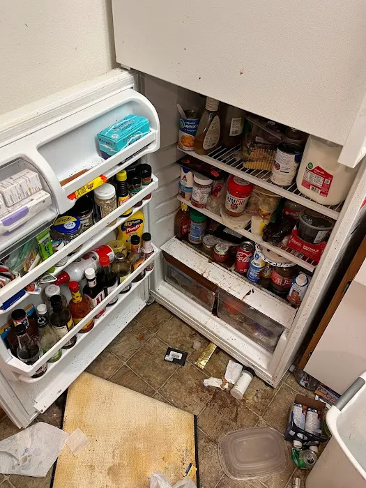 L.A.D.S (Life After Disaster Strikes) Picture 10