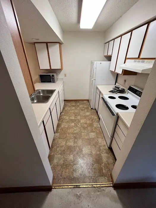 L.A.D.S (Life After Disaster Strikes) Picture 8