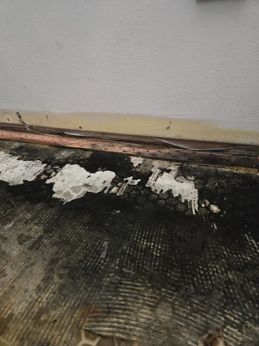 920 Restoration & Mold Remediation Picture 3