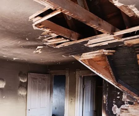 920 Restoration & Mold Remediation