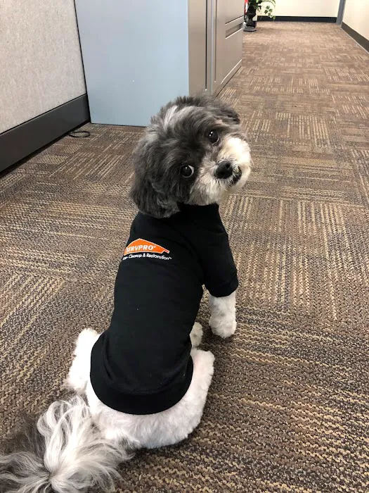 SERVPRO of Appleton Picture 6