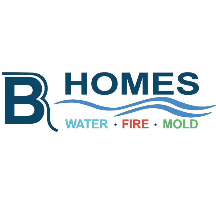 BR Homes Inc. Picture 2