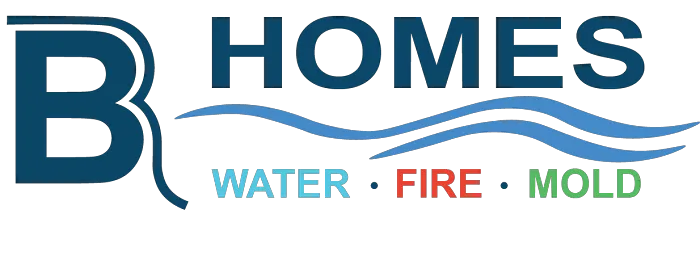 BR Homes Inc. Picture 1