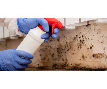 J and K environmental services Picture 6