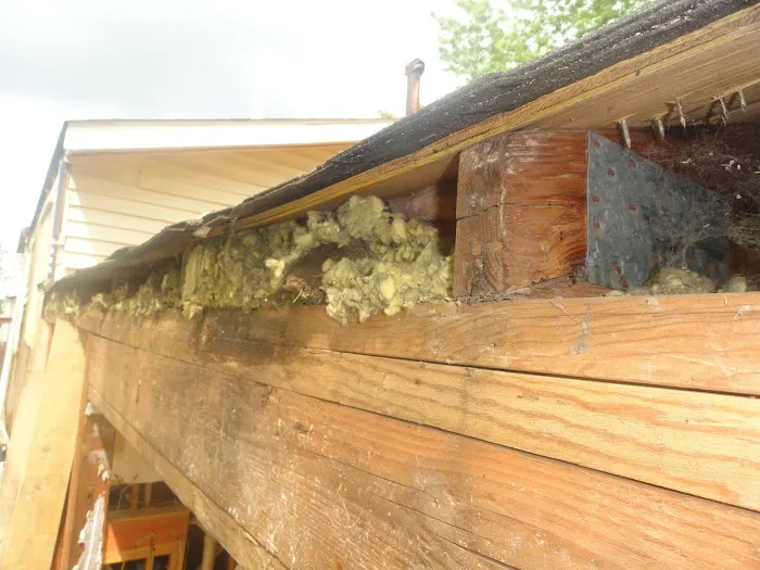 Jiffy Plumbing & Drains Picture 6