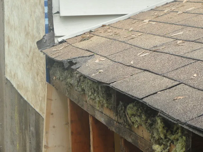 Jiffy Plumbing & Drains Picture 10