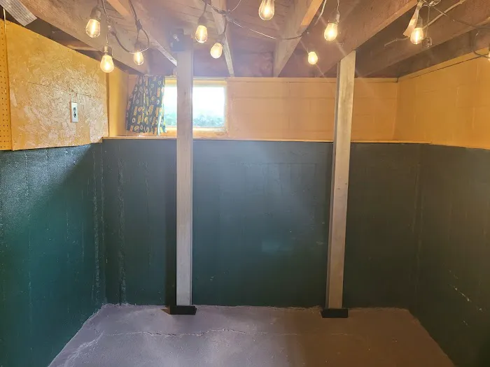 The Basement Doctor Picture 6