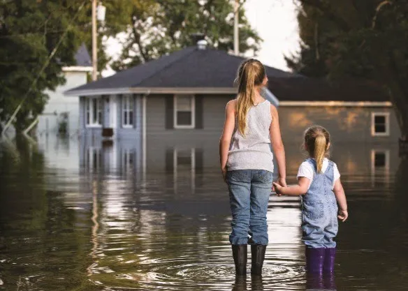 A.Thompson Carpet Care and Restorations Picture 1