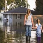 A.Thompson Carpet Care and Restorations