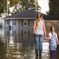 A.Thompson Carpet Care and Restorations ico