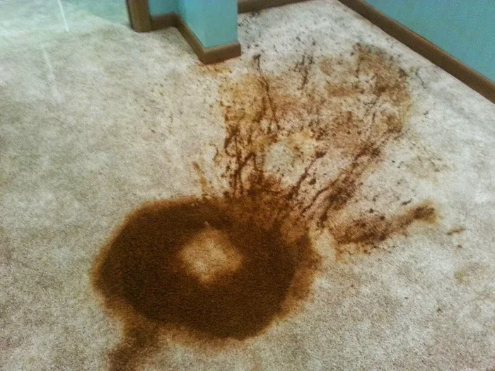 A.Thompson Carpet Care and Restorations Picture 7