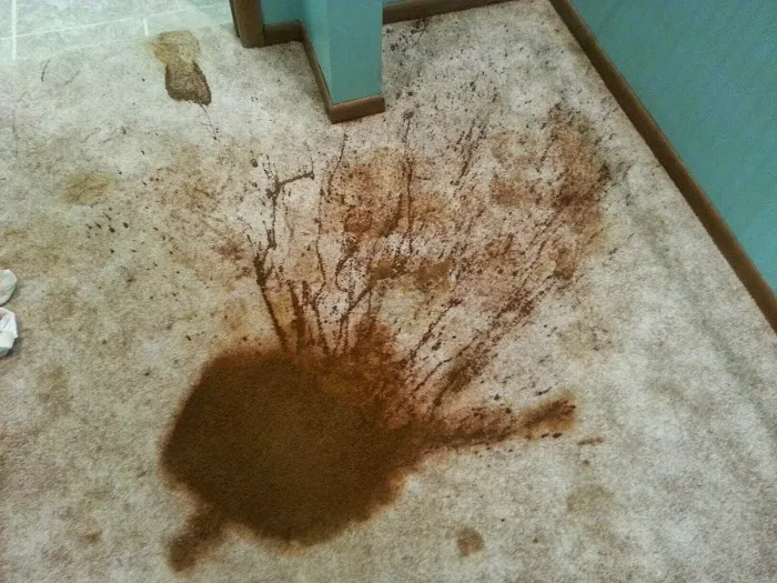 A.Thompson Carpet Care and Restorations Picture 5