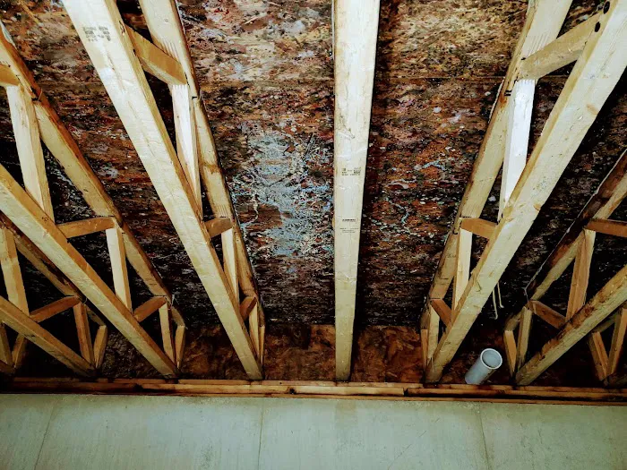 Complete Detail Cleaning & Restoration Picture 5