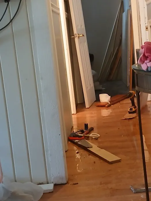 Complete Detail Cleaning & Restoration Picture 2