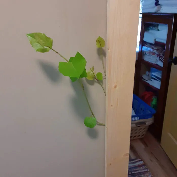 Shambaugh Cleaning & Restoration Picture 8