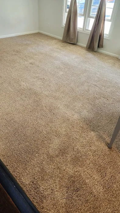 Shambaugh Cleaning & Restoration Picture 6