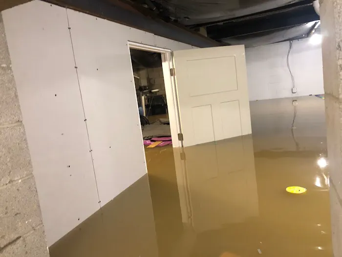 Shambaugh Cleaning & Restoration Picture 5