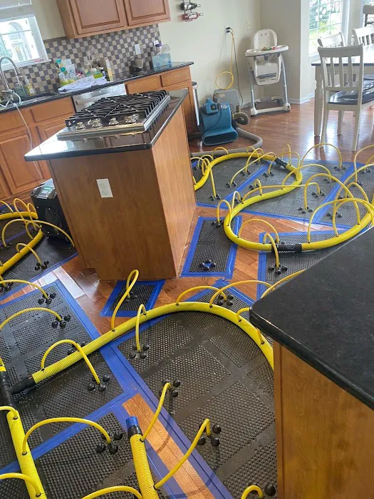 Paul Davis Restoration of Cleveland West Picture 4