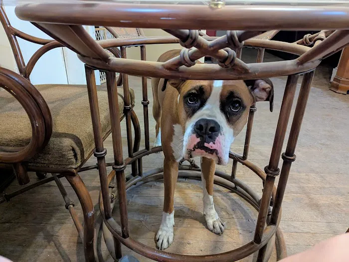 Stanley Steemer Picture 2