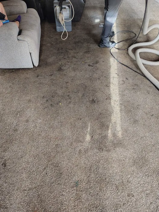 Stanley Steemer Picture 5