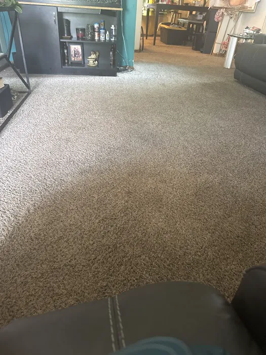 Stanley Steemer Picture 8