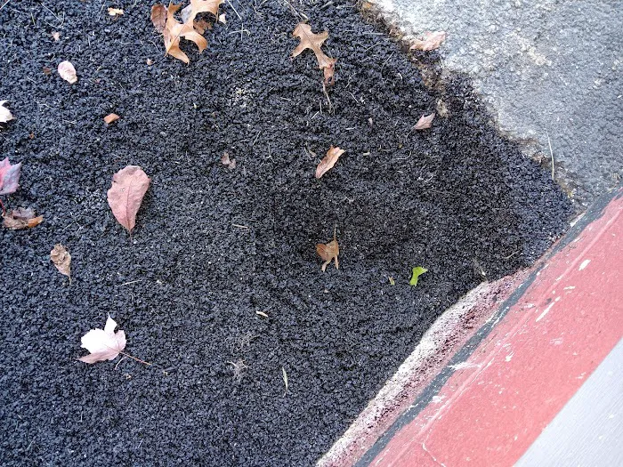 Acculevel Foundation Repair & Basement Waterproofing Picture 7