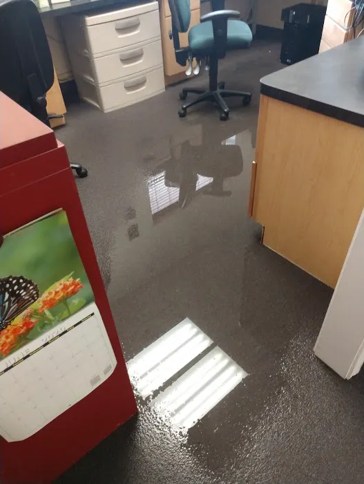 Duraclean Cleaning Services, Inc. Picture 6