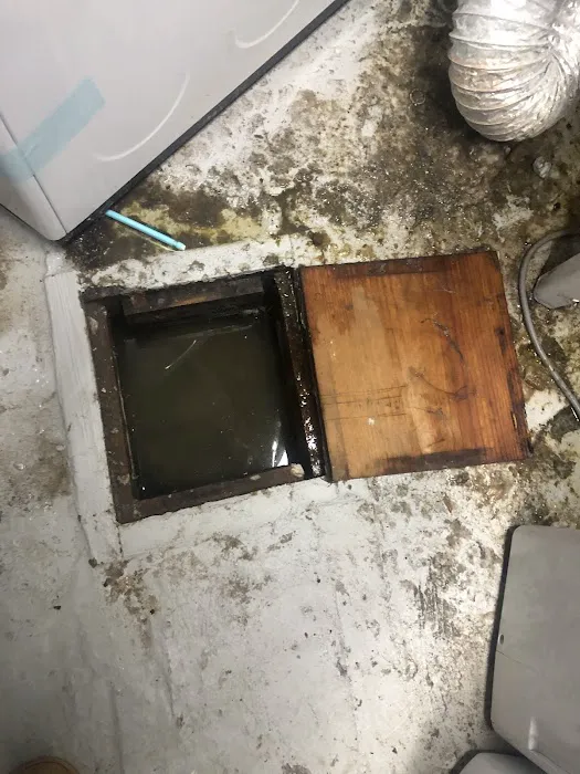 Roto-Rooter Plumbing & Water Cleanup Picture 3