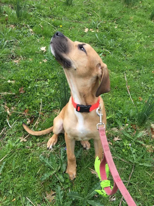 Roto-Rooter Plumbing & Water Cleanup Picture 9