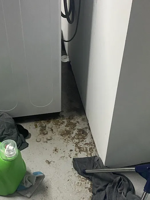 Roto-Rooter Plumbing & Water Cleanup Picture 2