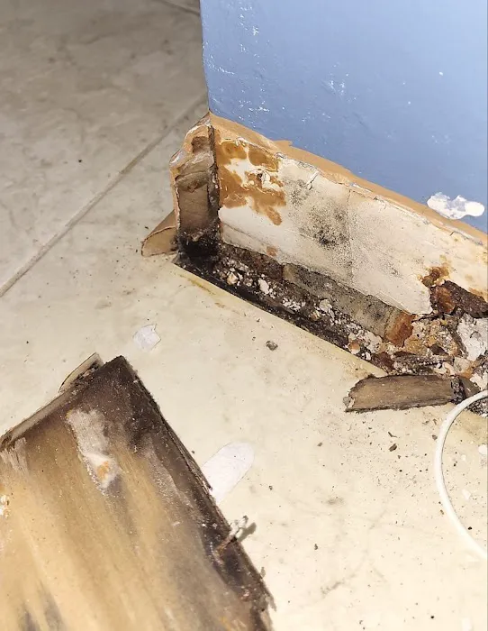 AdvantaClean of the West Side Picture 7