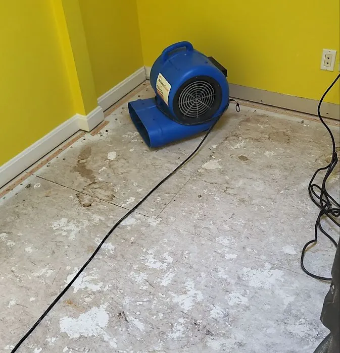 AdvantaClean of the West Side Picture 9