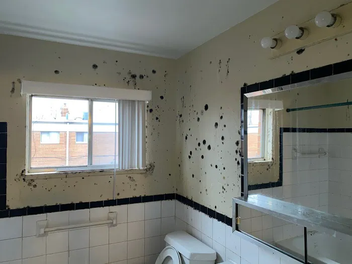 SafeHouse Solutions Picture 3