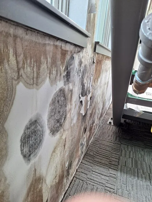 SafeHouse Solutions Picture 8