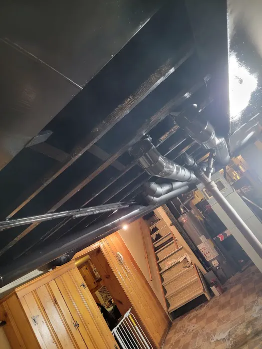 A Touch of Anne Picture 6