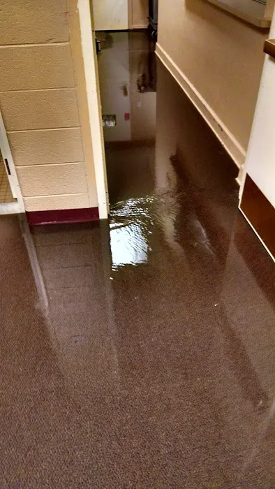 Flood Kleenup inc. Picture 2