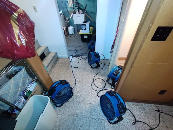 DLW Services Picture 1